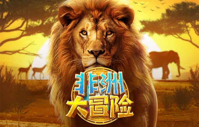 智博体育平台官网